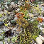 Dornroeschen Апартаменты