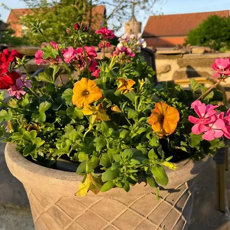 アパート Dornroeschen *