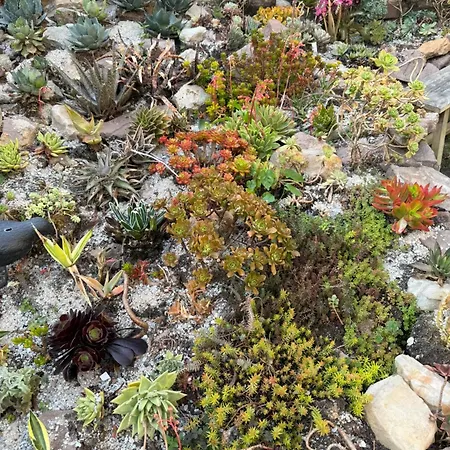 Dornroeschen アパート